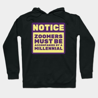 Zoomers Must Be Accompanied by a Millennial Hoodie